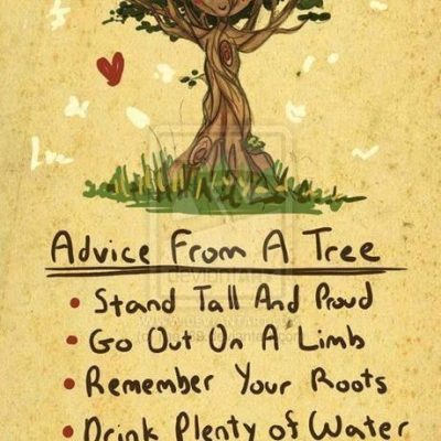 Be more like a&nbsp;tree